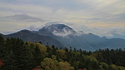 IMG_4892.jpg