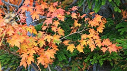 IMG_4894.jpg