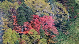 IMG_4901.jpg