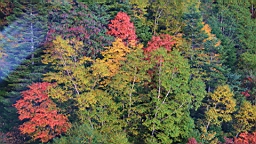 IMG_4903.jpg