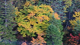 IMG_4904.jpg