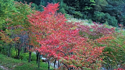 IMG_4908.jpg