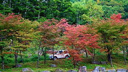 IMG_4911.jpg