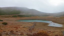 IMG_4926.jpg