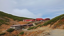 IMG_4963.jpg