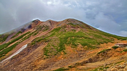 IMG_4964.jpg