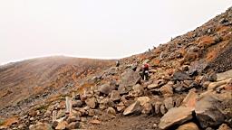 IMG_4967.jpg