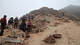 IMG_4980.jpg