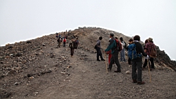 IMG_4988.jpg