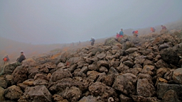 IMG_4989.jpg