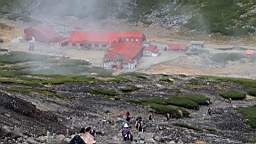 IMG_4995.jpg