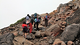 IMG_4998.jpg