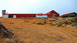IMG_5001.jpg