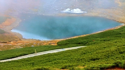 IMG_5009.jpg