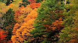 IMG_5035.jpg