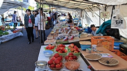 IMG_5042.jpg