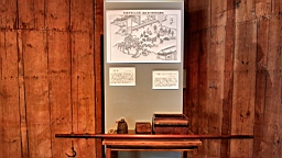 IMG_5065.jpg