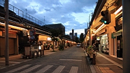 IMG_5141.jpg