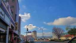 IMG_5142.jpg