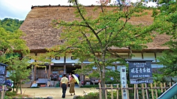 IMG_5211.jpg