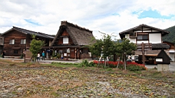 IMG_5264.jpg