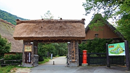IMG_5272.jpg