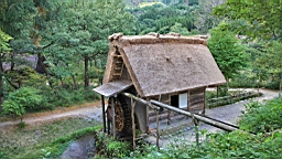 IMG_5278.jpg