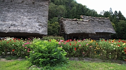 IMG_5307.jpg