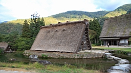IMG_5309.jpg