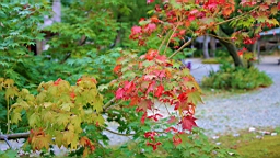 IMG_5323.jpg