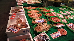 IMG_5400.jpg