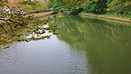 IMG_5404.jpg