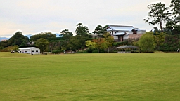 IMG_5406.jpg