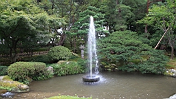 IMG_5416.jpg