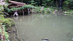 IMG_5417.jpg