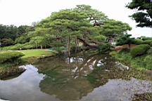 IMG_5427.JPG