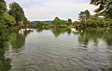 IMG_5444.JPG