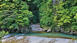 IMG_5784.JPG