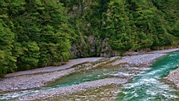 IMG_5825.JPG