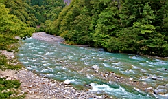 IMG_5838.JPG