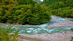 IMG_5849.JPG