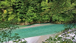IMG_5852.JPG