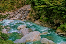 IMG_5855.JPG
