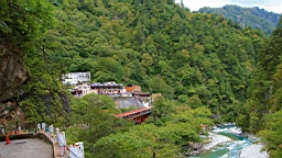 IMG_5870.JPG