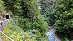 IMG_5879.JPG