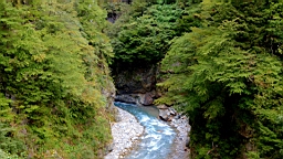 IMG_5880.JPG