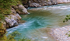 IMG_5886.JPG