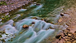 IMG_5888.JPG