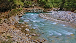 IMG_5893.JPG