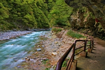 IMG_5896.JPG